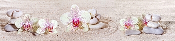 nw17343.jpg