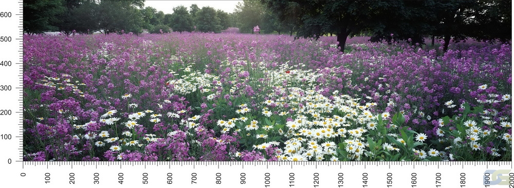 priroda_125.jpg