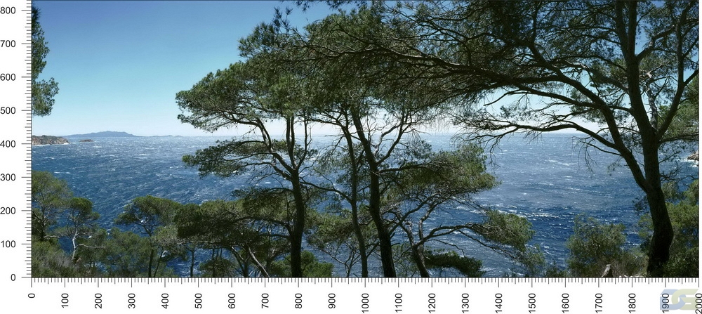 priroda_2.jpg