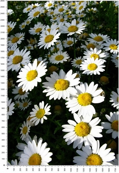 NC0319.jpg