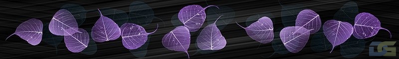 ArtSkinali1268.jpg