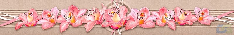 ArtSkinali2423.jpg