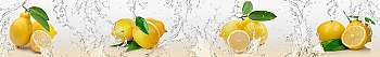 ArtSkinali1061.jpg