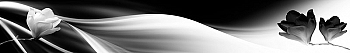 ArtSkinali649.jpg
